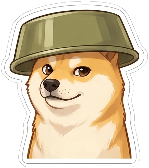 SHIJIN wearing an olive dog bowl as a helmet